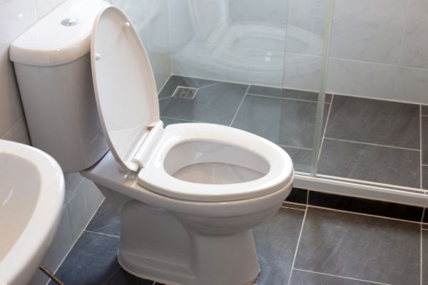 Cost of Toilet Replacement in Harrisburg