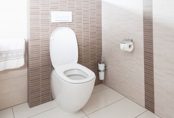 Cost of Toilet Plumbing Installation in Harrisburg